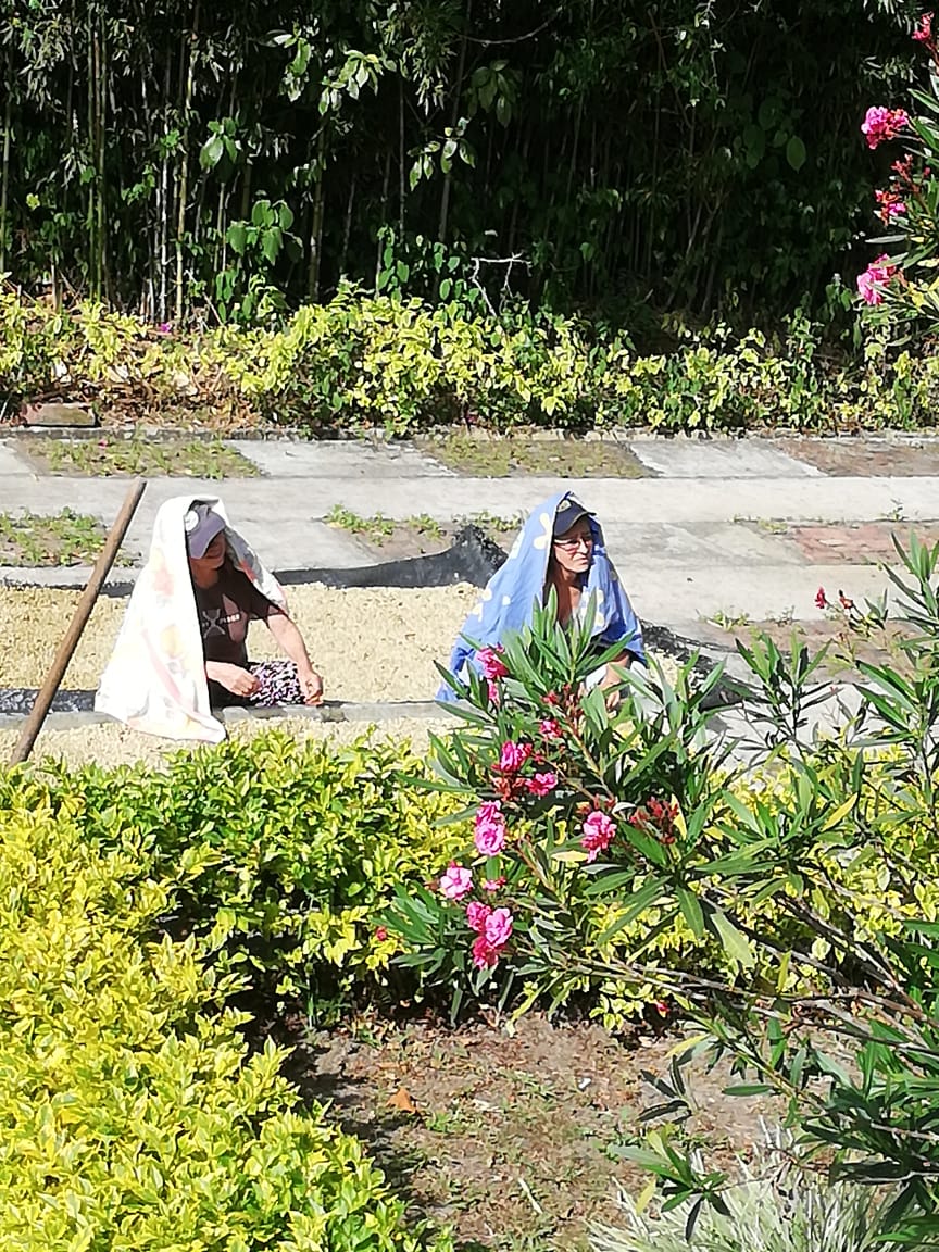 572f9986-e342-4e09-aecb-f5f8f985cf7d