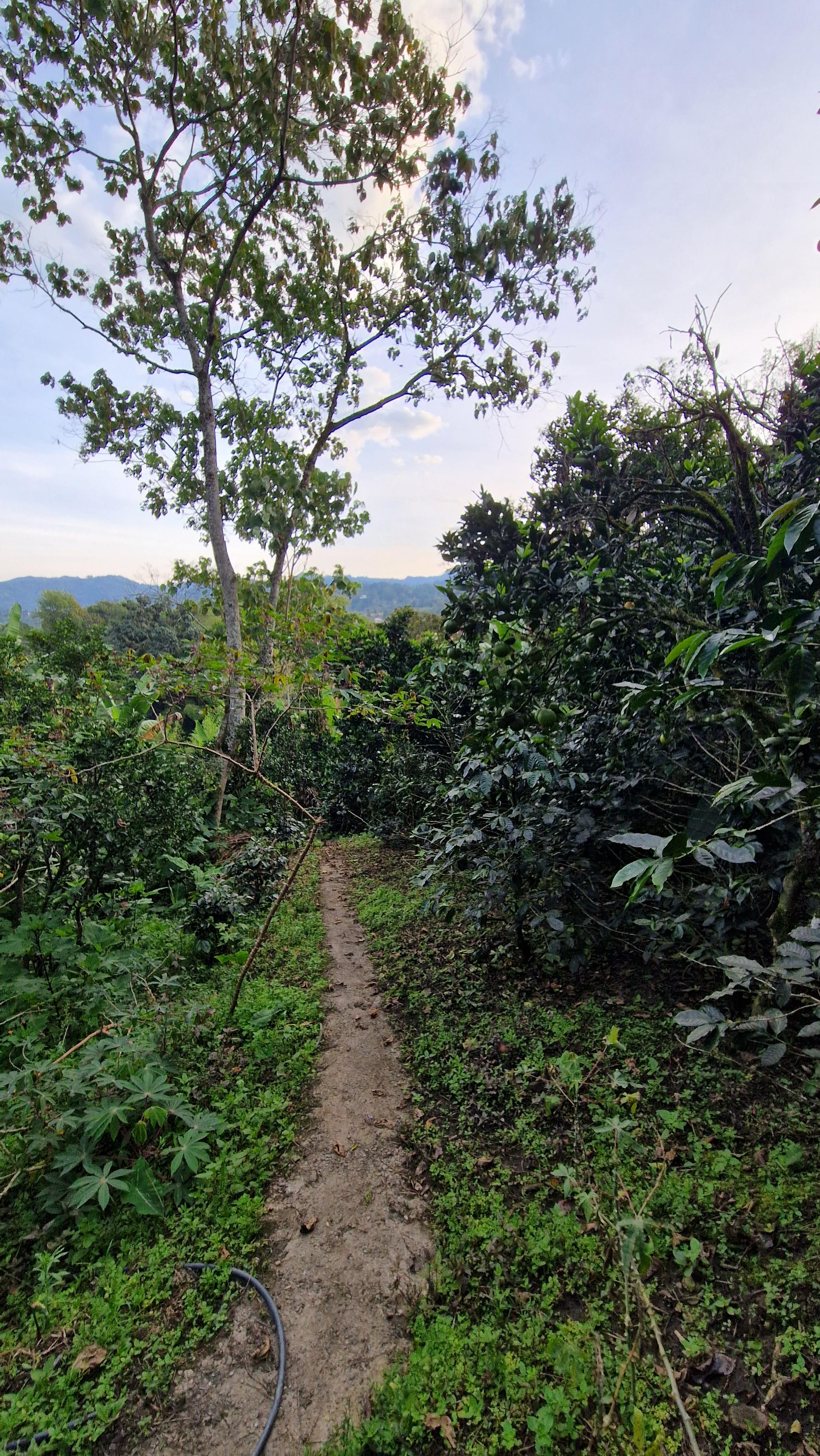 signal-2025-11-08-14-13-00-277-1