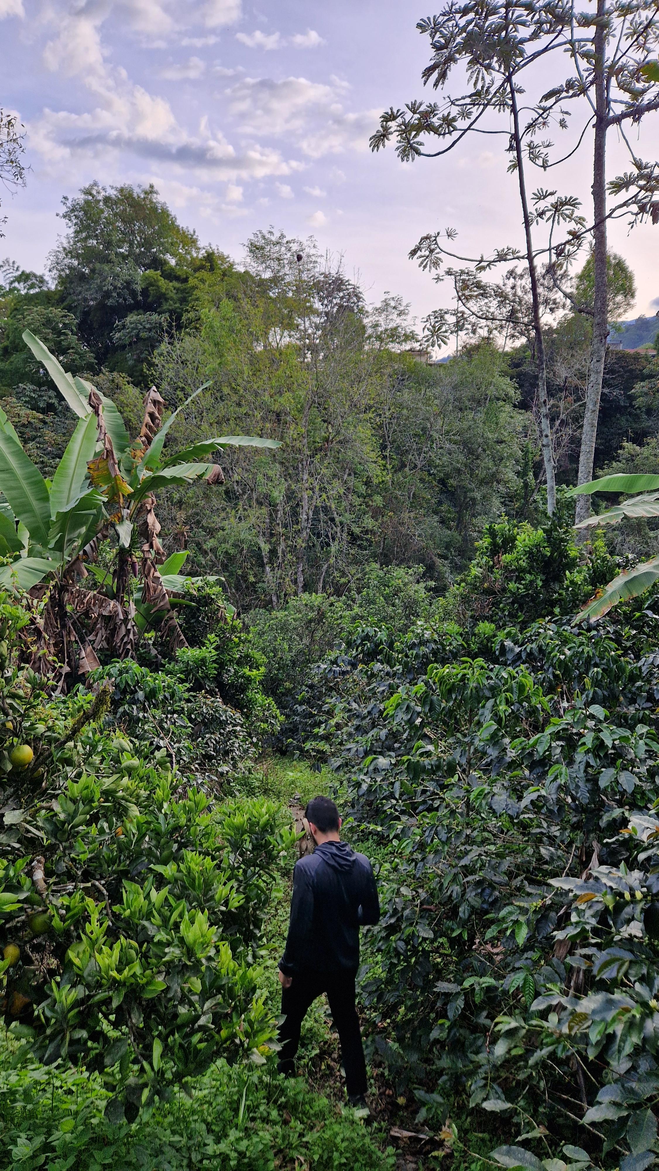 signal-2025-11-08-14-13-00-277-2