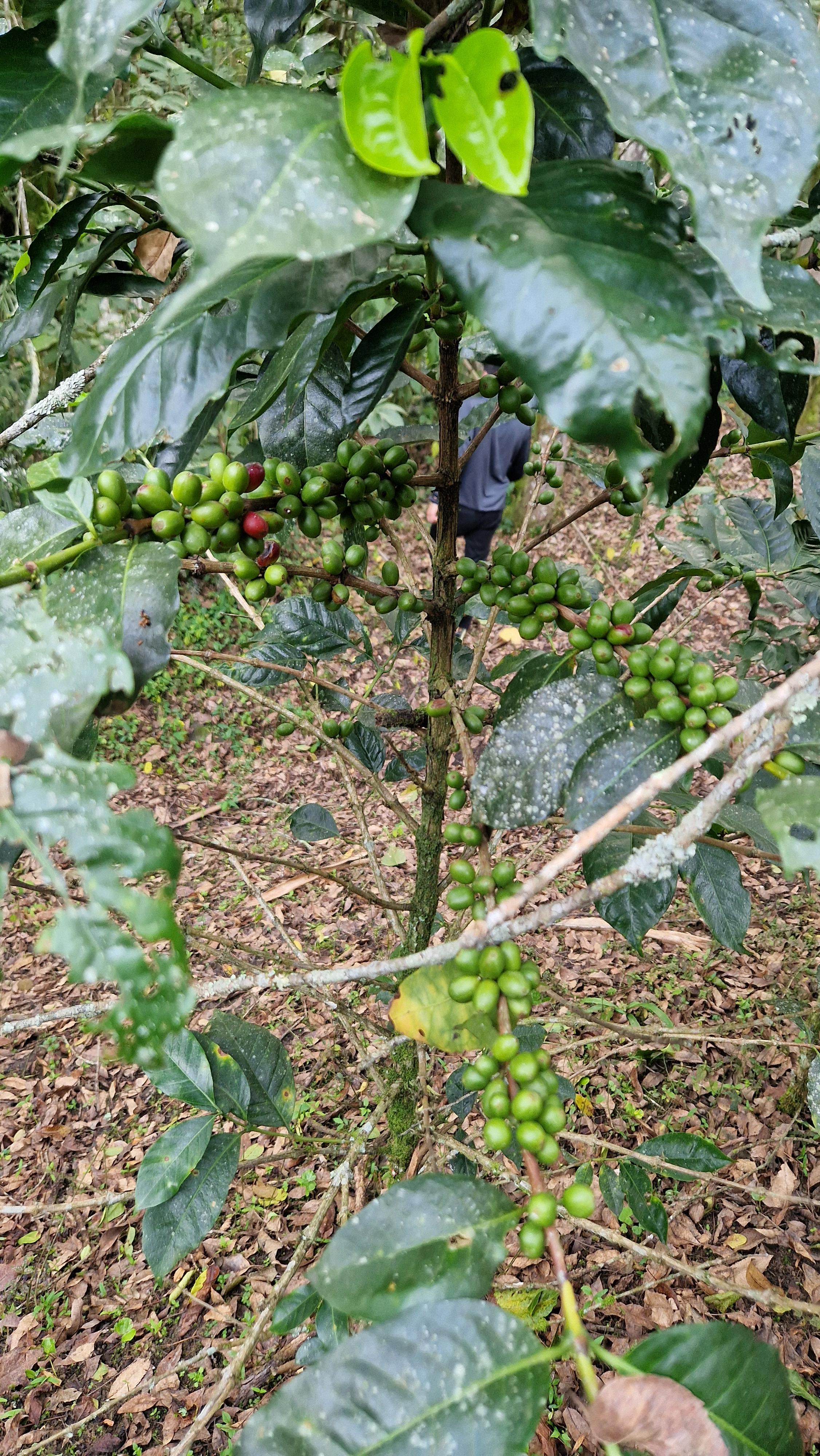 signal-2025-11-08-14-13-00-277-3