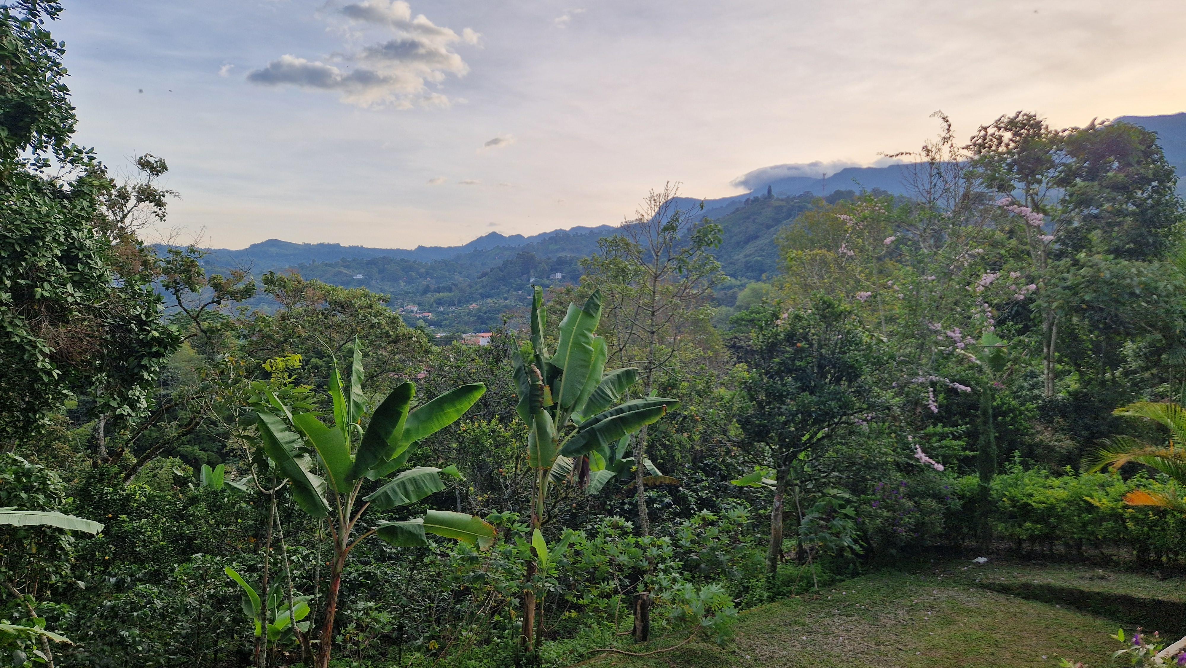 signal-2025-11-08-14-13-00-277-4