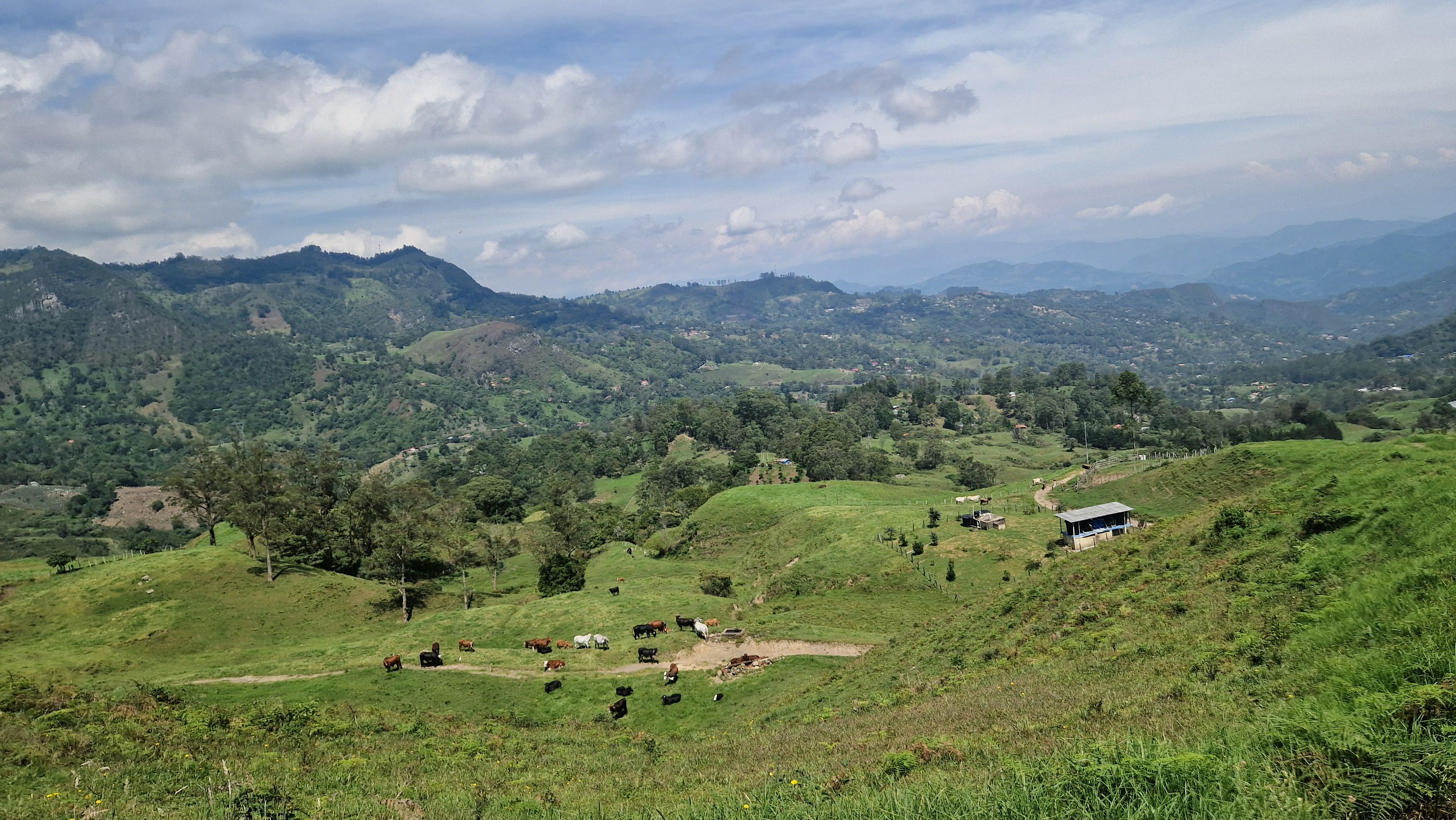 signal-2025-11-08-14-17-26-733-4